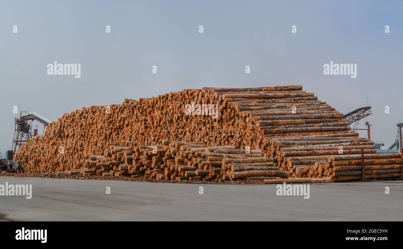 Logs stacked at the lumber mill ready to be cut into lumber. Located in
