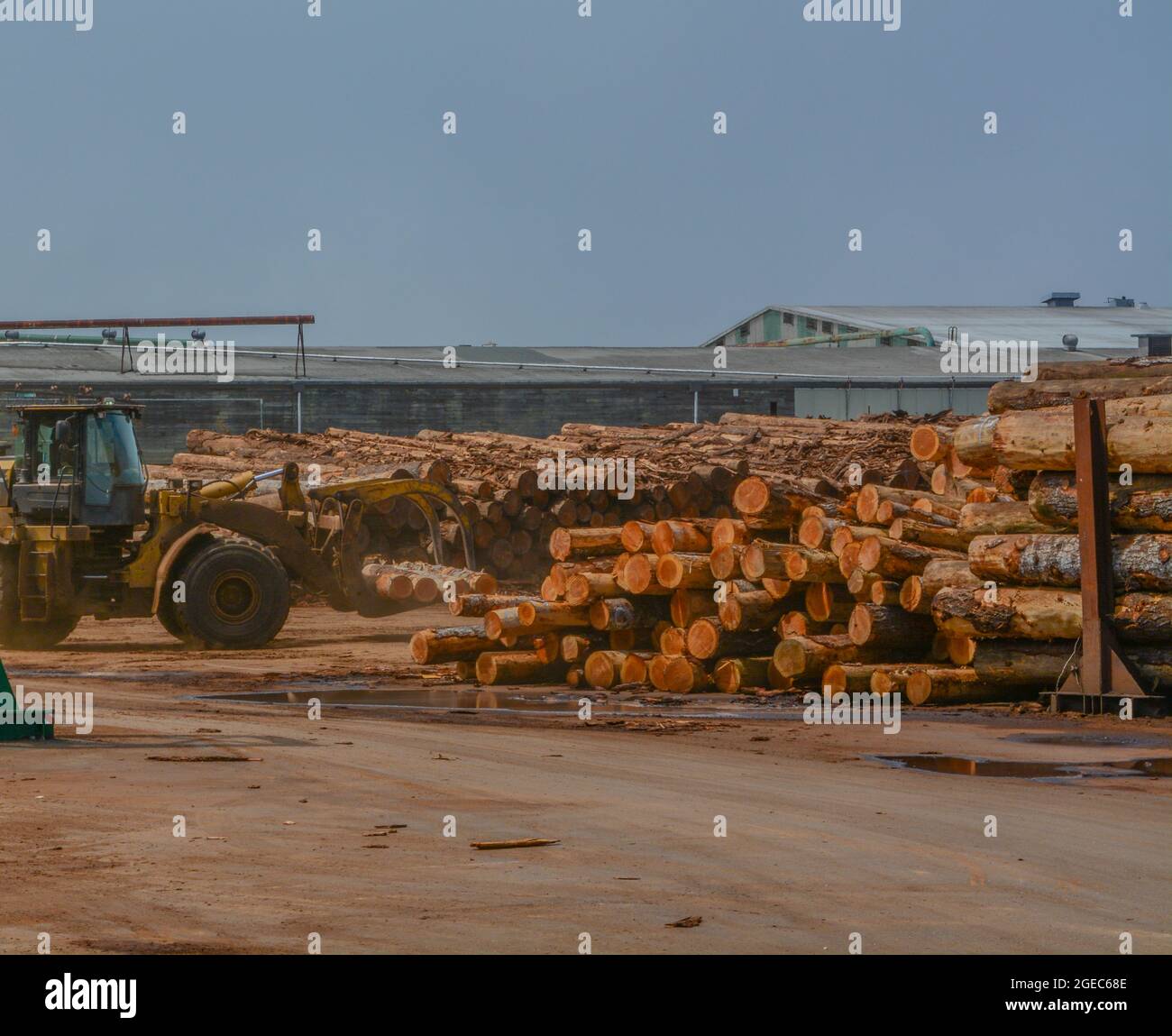 Logging mill pacific hires stock photography and images Alamy