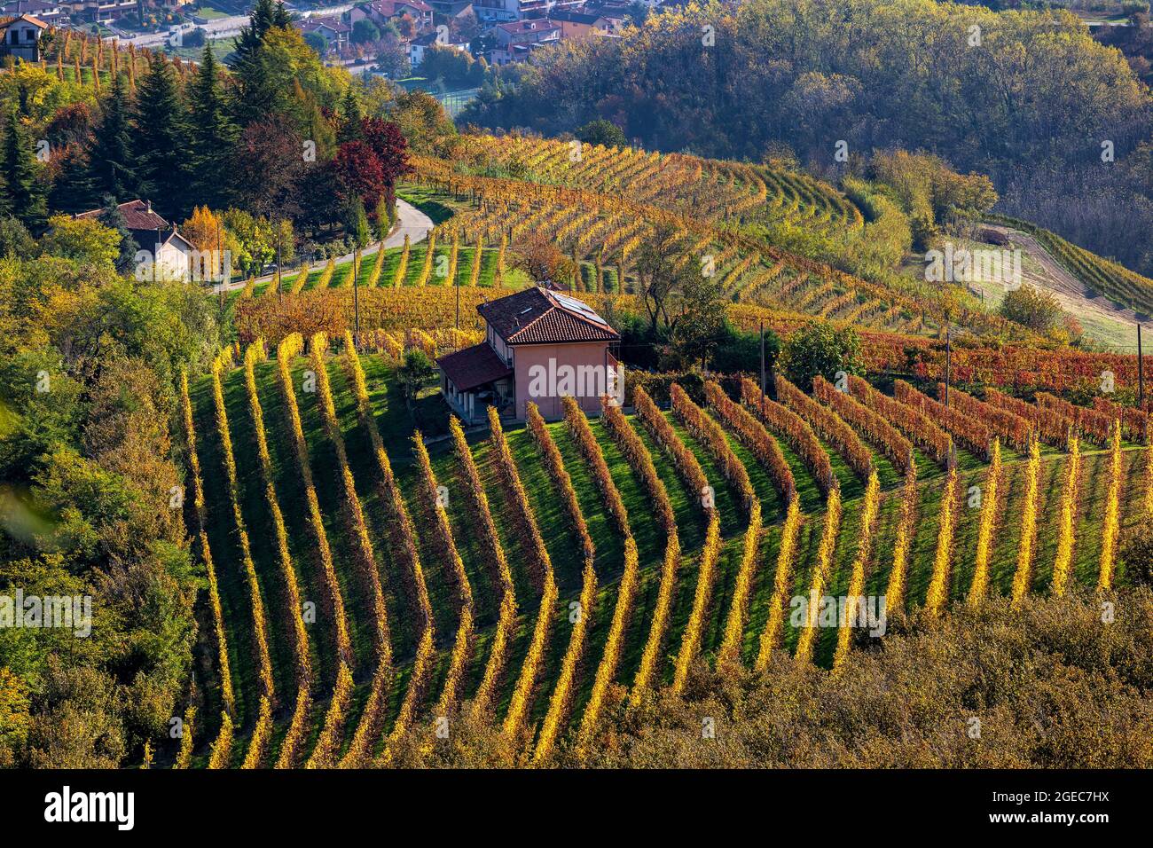Rural house on the hill among colorful autumnal vineyards in Piedmont, Northern Italy. Stock Photo