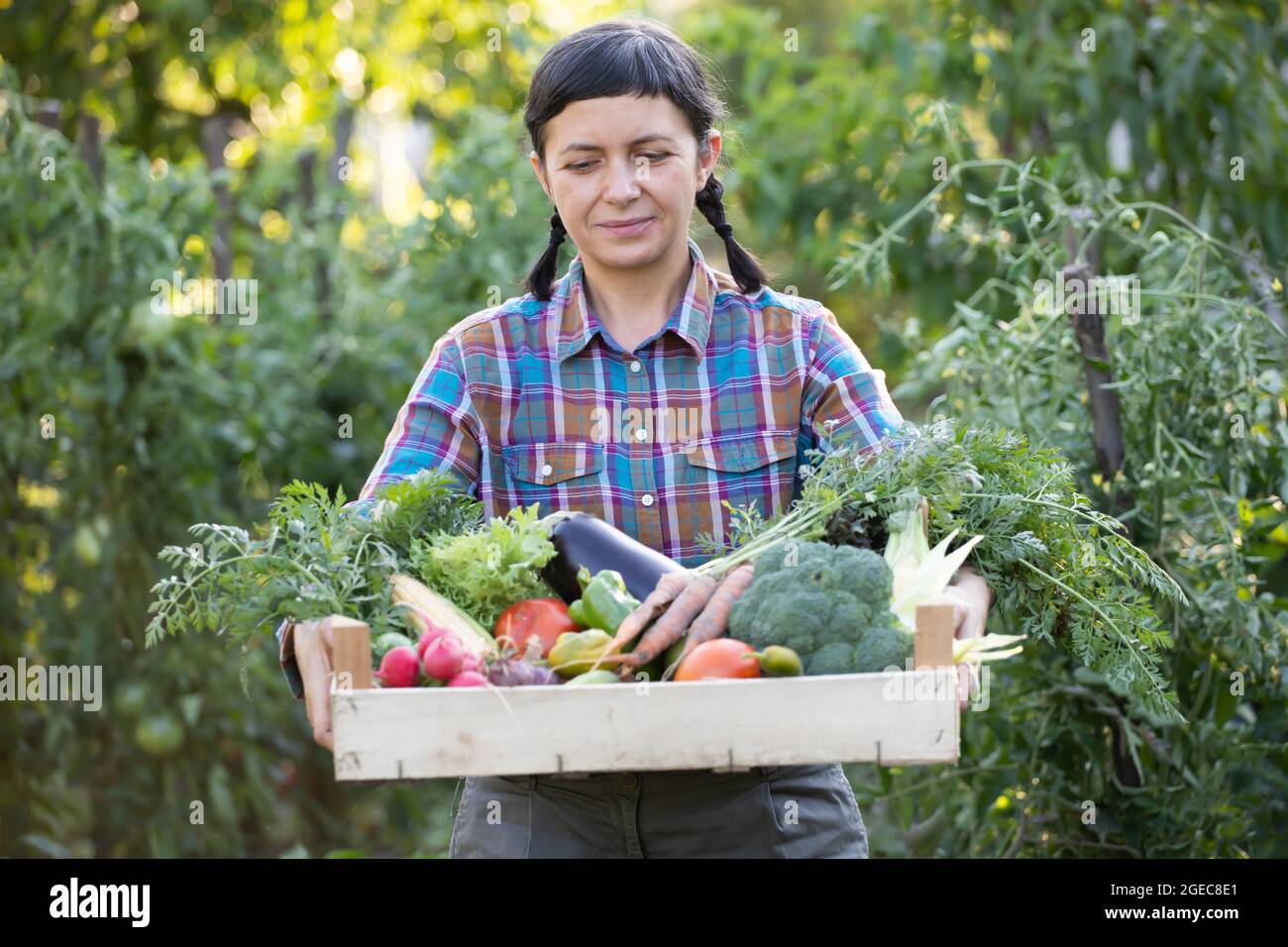 Farmer woman holding wooden box full of fresh raw vegetables. Growing ...