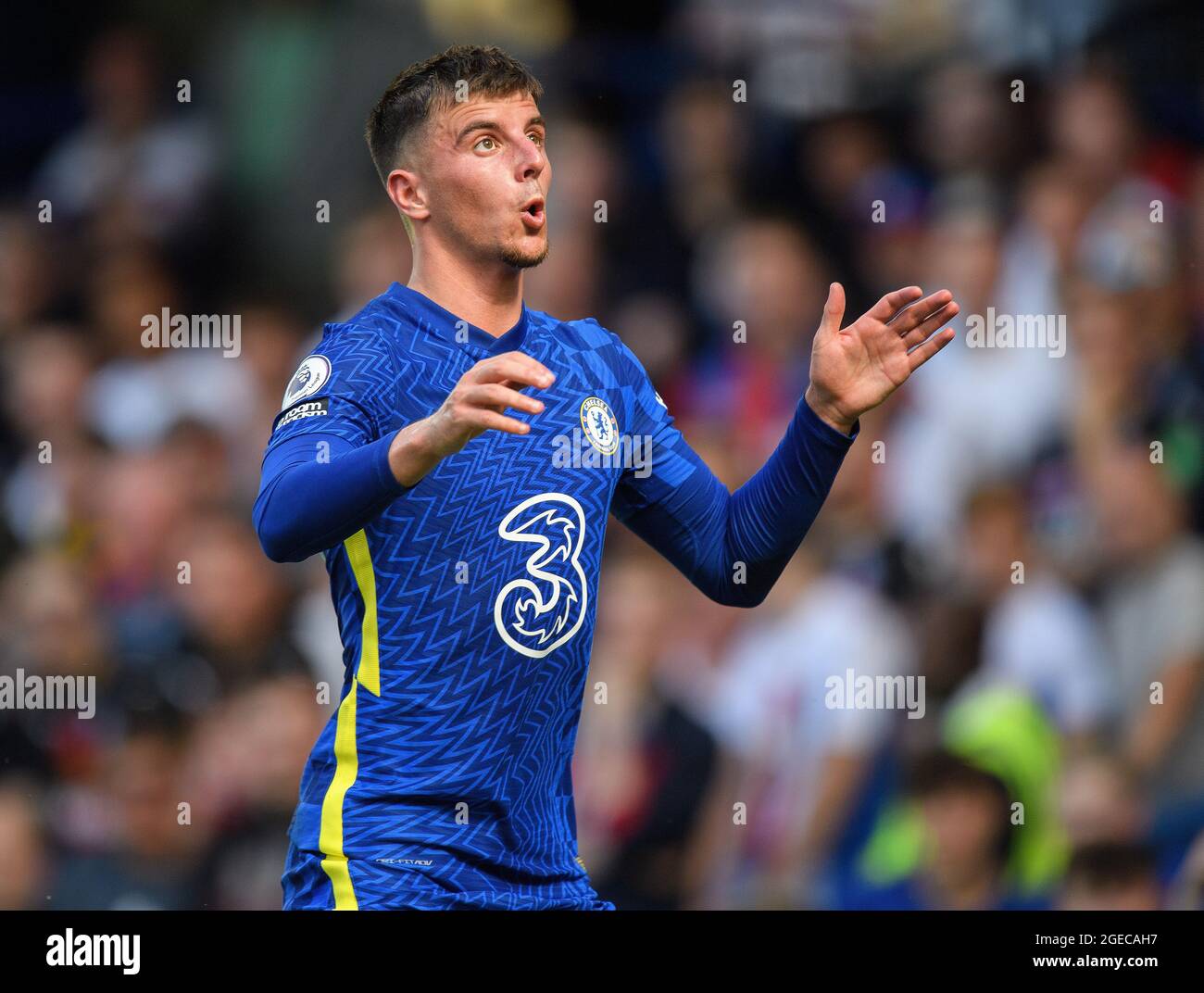 Chelsea v Crystal Palace -The Premier League  Mason Mount during the Premier League match against Crystal Palace. Picture Credit : © Mark Pain Stock Photo