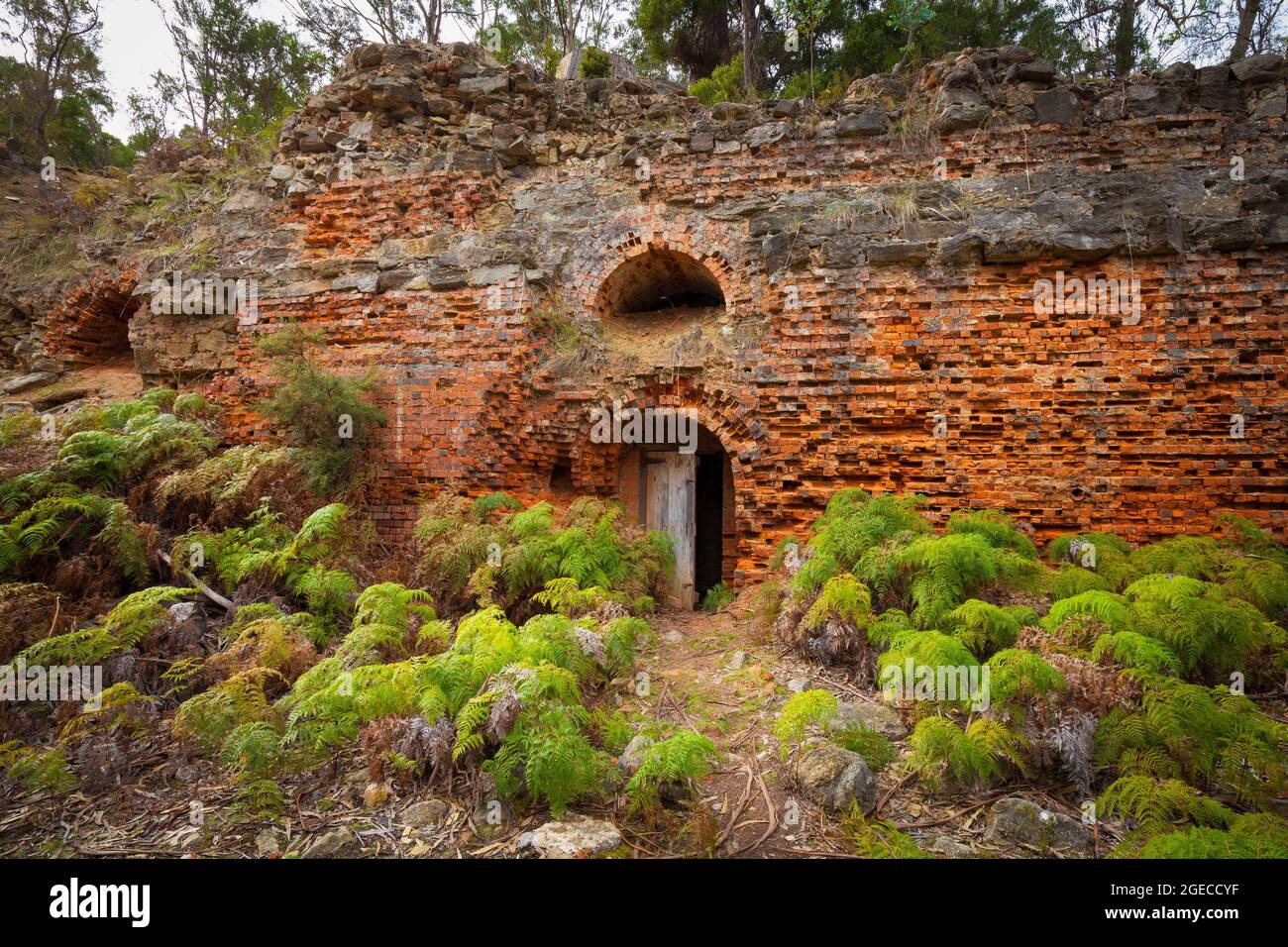 Brick and lime kiln ruins (c.1888) - Maria Island National Park - Tasmania - Australia Stock Photo