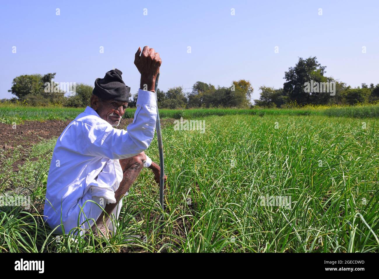 Indian old farmer hi-res stock photography and images - Alamy