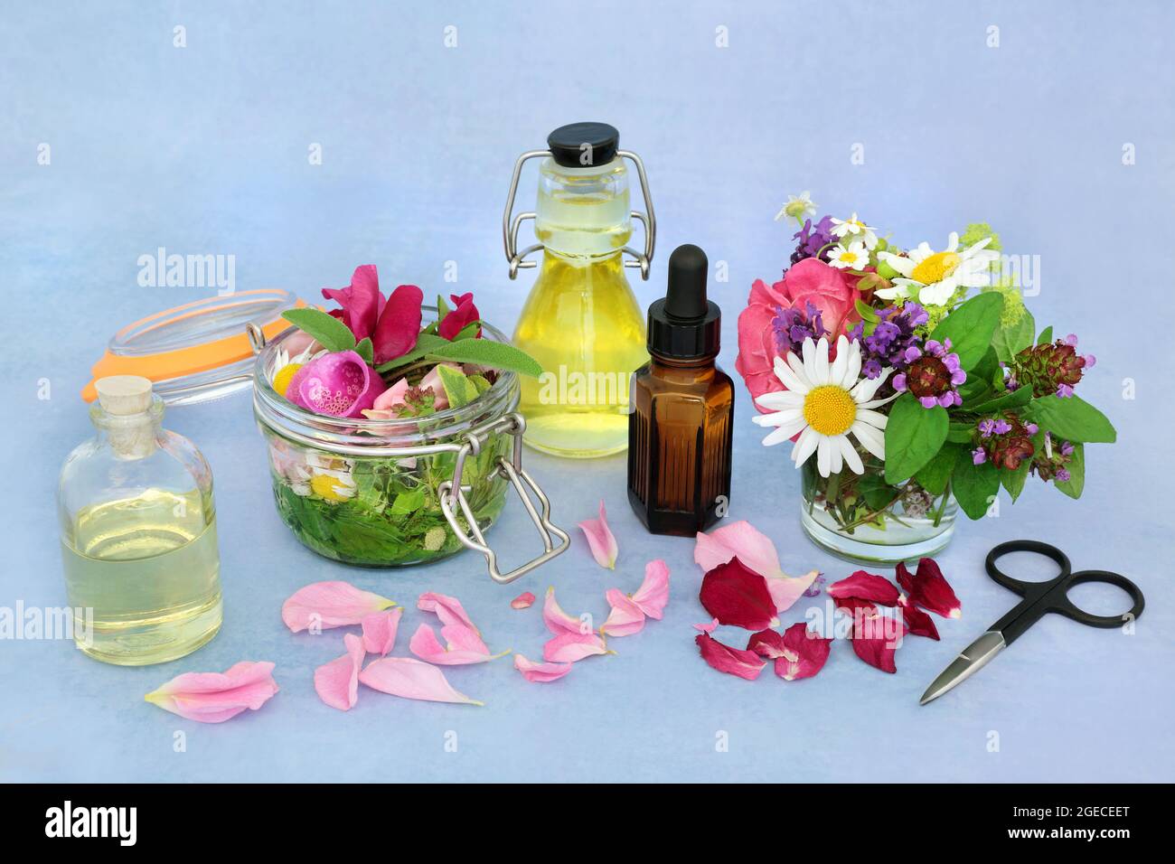 Aromatherapy essential oil preparation with summer herbs and flowers for oil infusions. Health care concept for naturopathic herbal plant medicine. Stock Photo