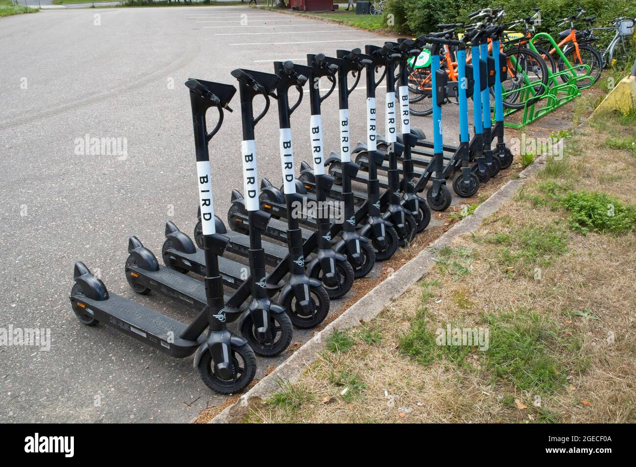 Rental electric scooters parked Stock Photo Alamy
