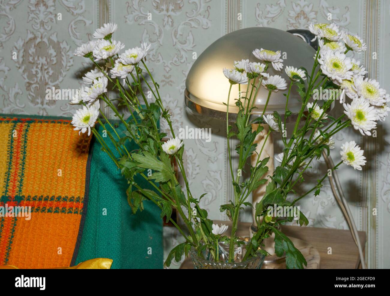 Close-up stilllife with chrysanthemum flowers and vintage table lamp with glass lampshade. Stock Photo