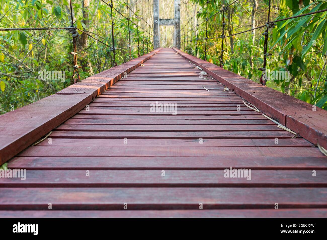 Wood bridge of iron and chain in the forest Stock Photo