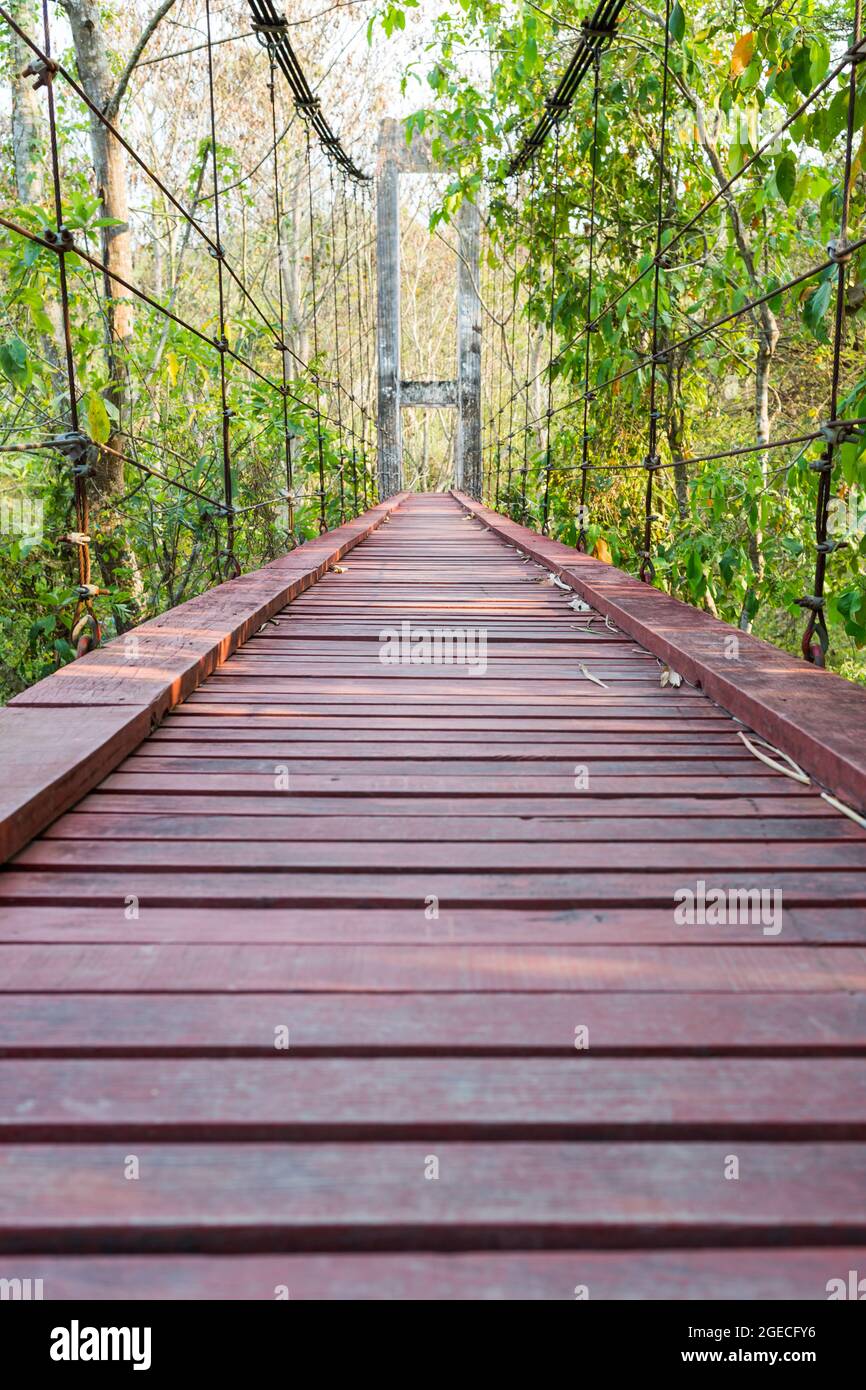 Wood bridge of iron and chain in the forest Stock Photo