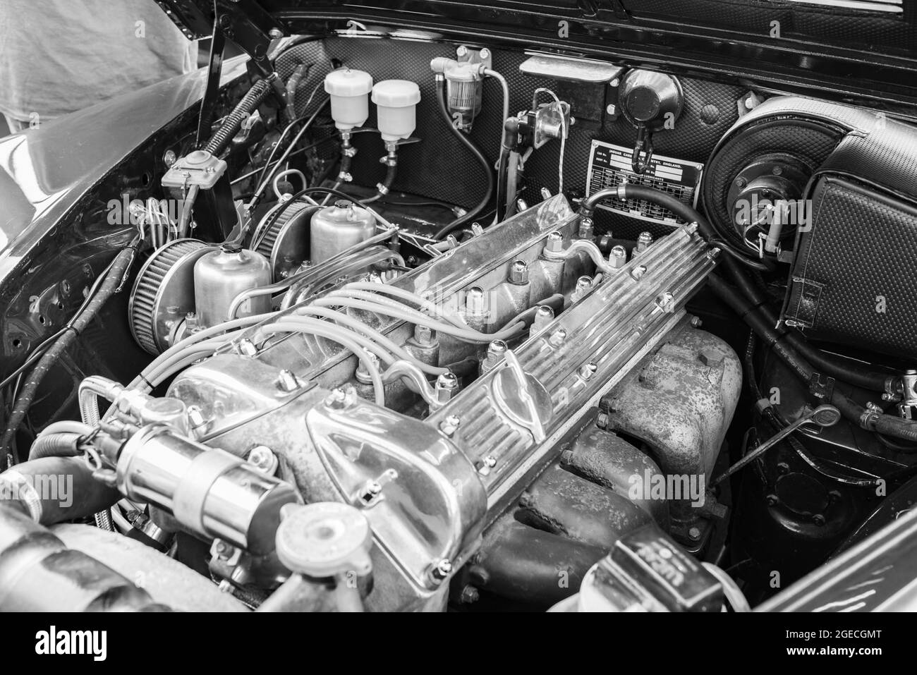 Jaguar 420 twin cam engine in black and white Stock Photo Alamy