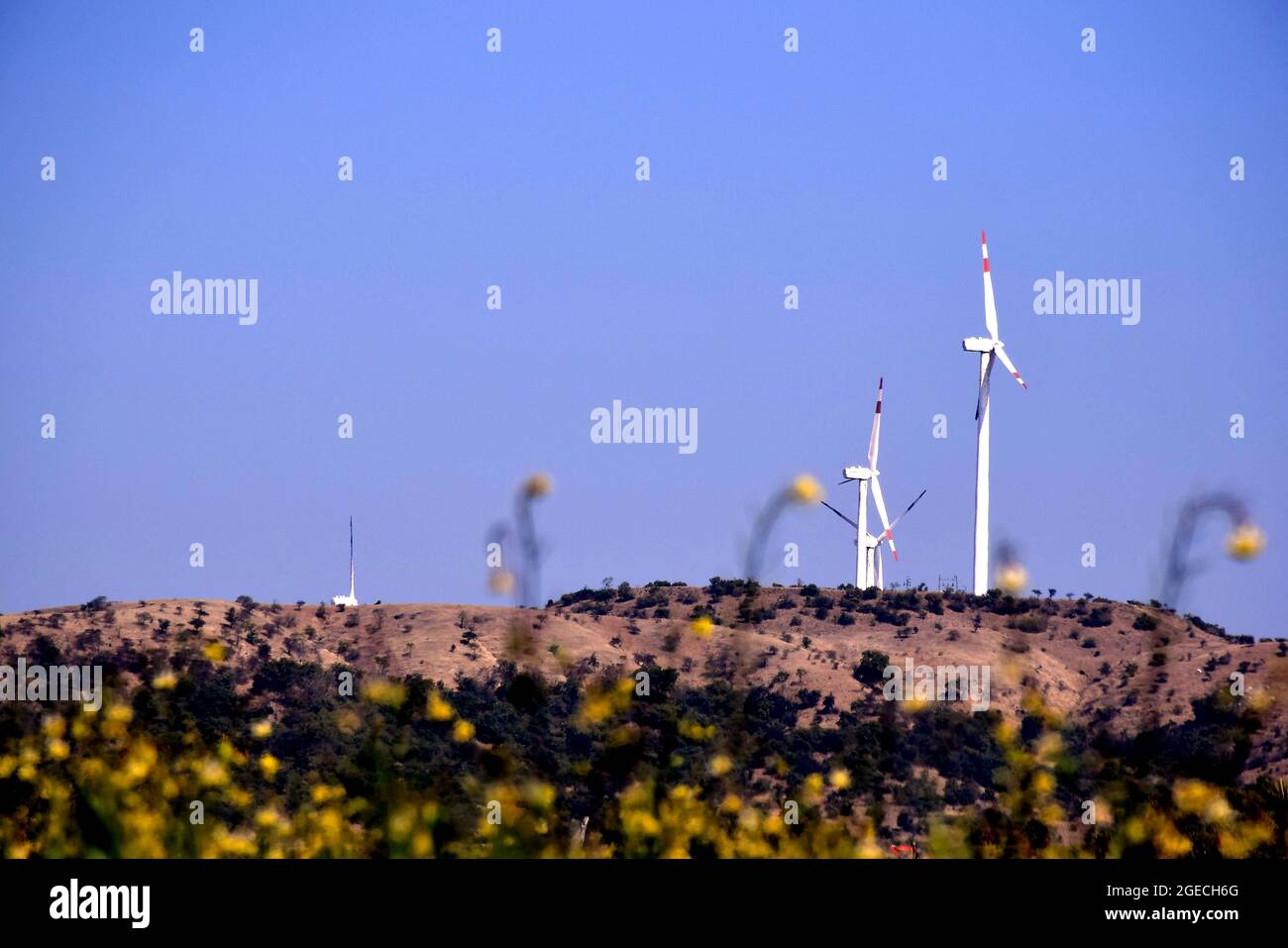 Rows of modern windmills in an energy wind farm on top of a hill ...