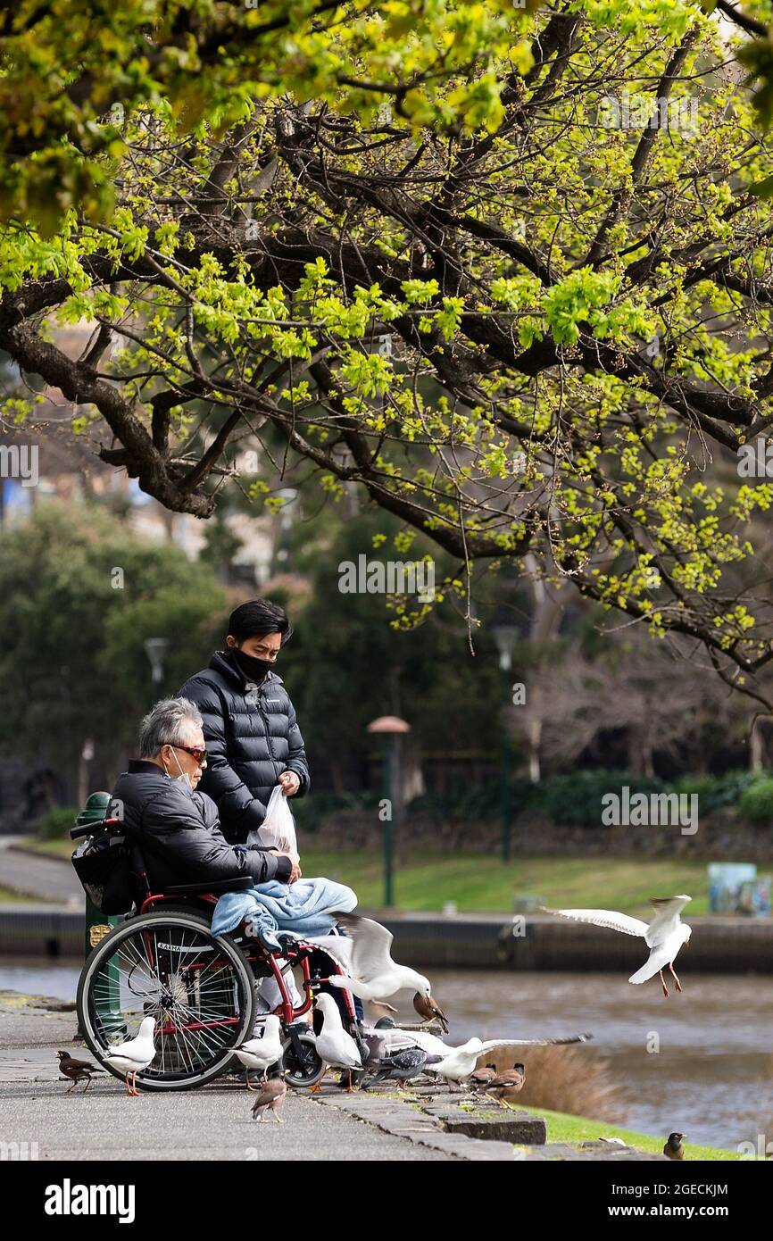 Melbourne, Australia, 2 September, 2020. A man in a wheelchair is seen enjoying his  one hour a day of exercise along Southbank as hope of Stage 4 restrictions easing fades during COVID-19 in Melbourne, Australia.  Premier Daniel Andrews Labor Government was given a six month extension to their State of Emergency Powers. Under these powers, the government need not justify their response to the pandemic or have to face any scrutiny. It risks the continuation of major events in Victoria and will plunge the state into the deepest recession not seen in 100 years. The government continues to push t Stock Photo