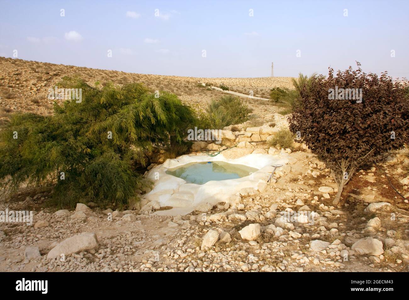 Solitary farm in the Negev Desert, Israel Stock Photo