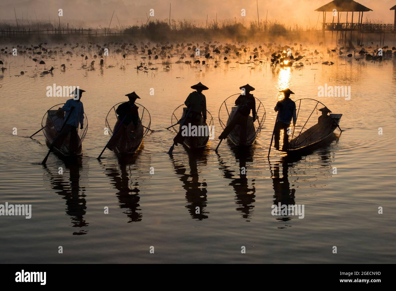 Myanmar, Shan state, Inle lake, fishermen fishing by traditional fishing techniques at dusk Stock Photo