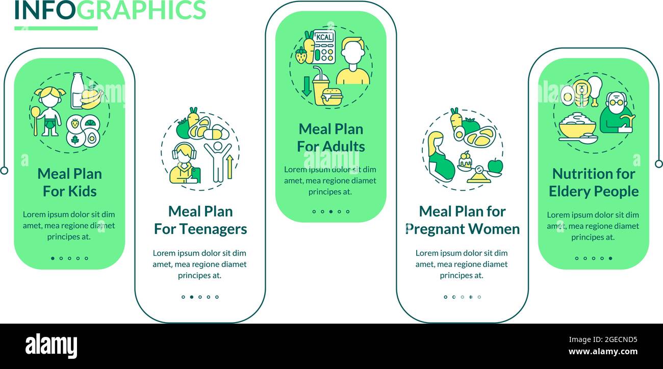 Meal Plan For Different Age Groups Vector Infographic Template Stock 