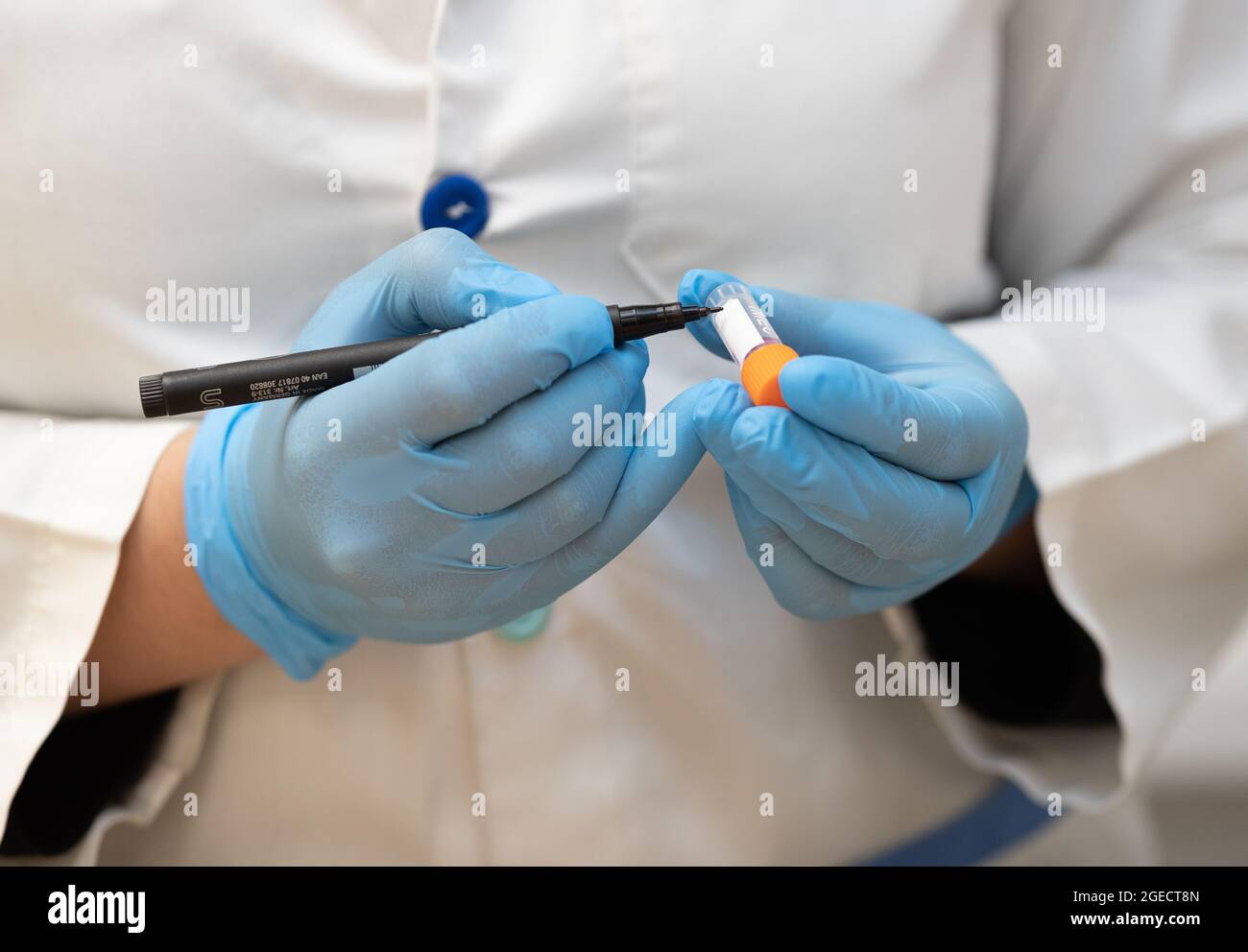 Lab Write Hands Label Hands of a laboratory technician holding and writing on a freezing tube ...