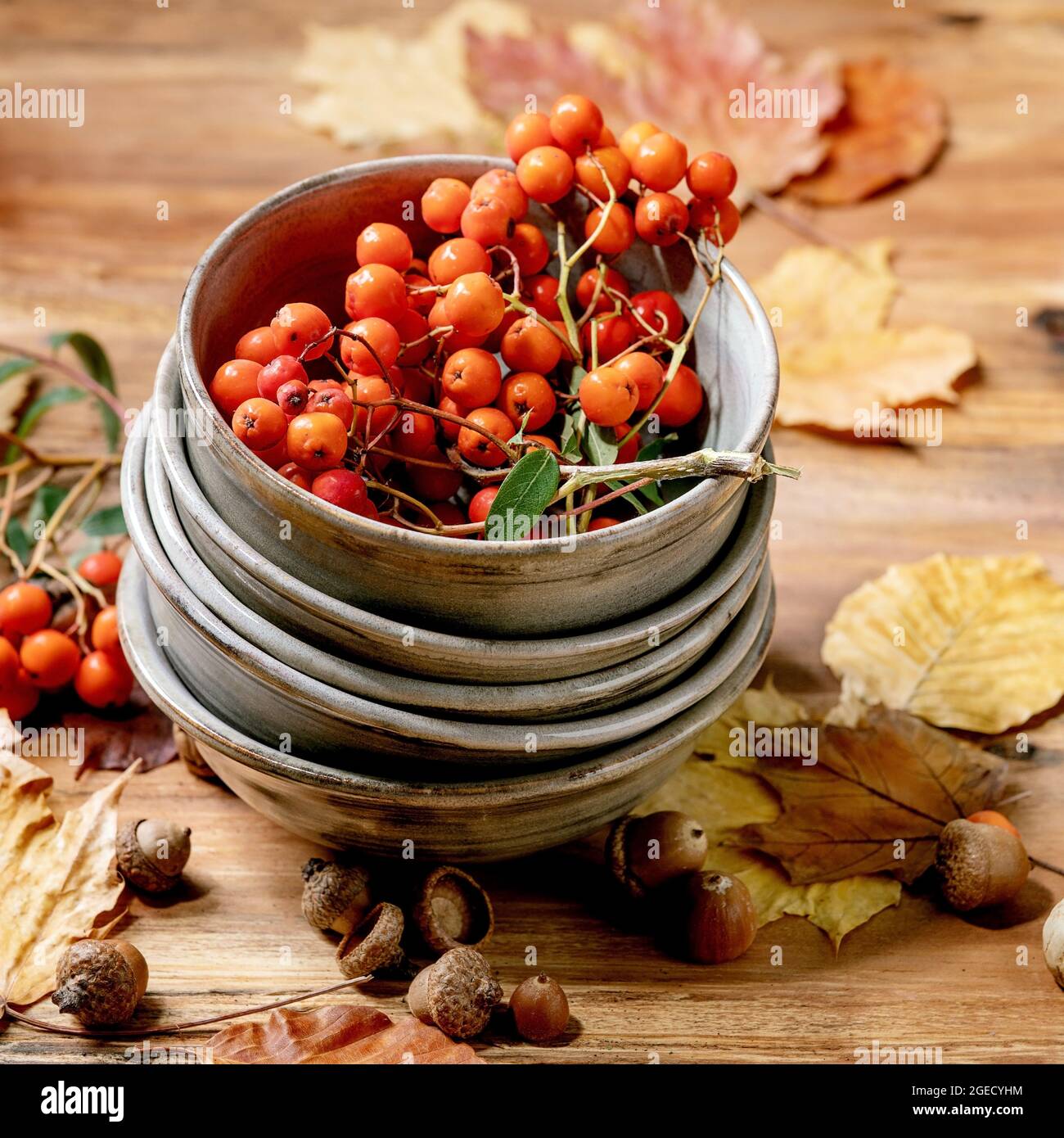 Autumn seasonal background Stock Photo