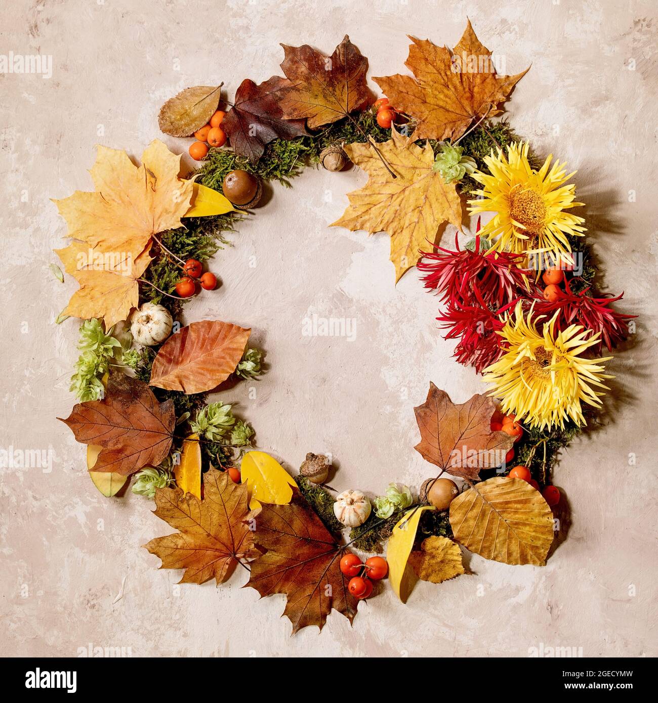 Autumn botanical composition Stock Photo