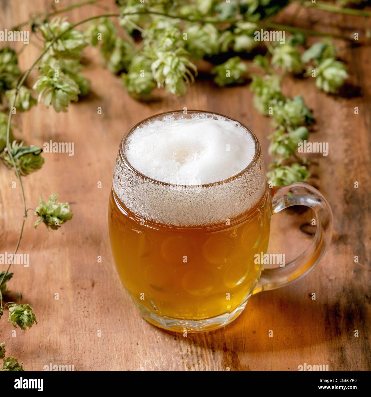 Mug of lager beer Stock Photo