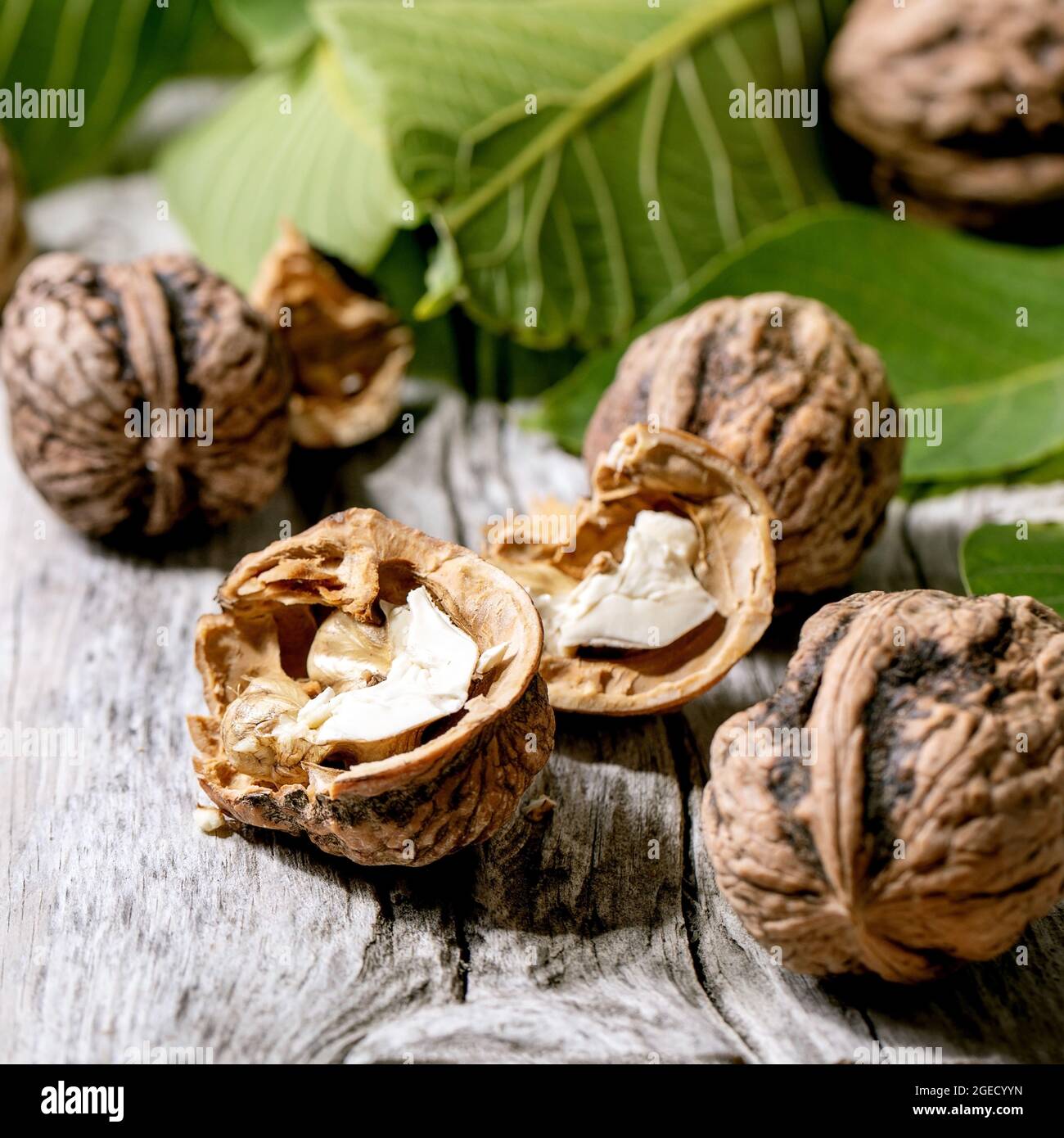 Walnuts and leaves Stock Photo