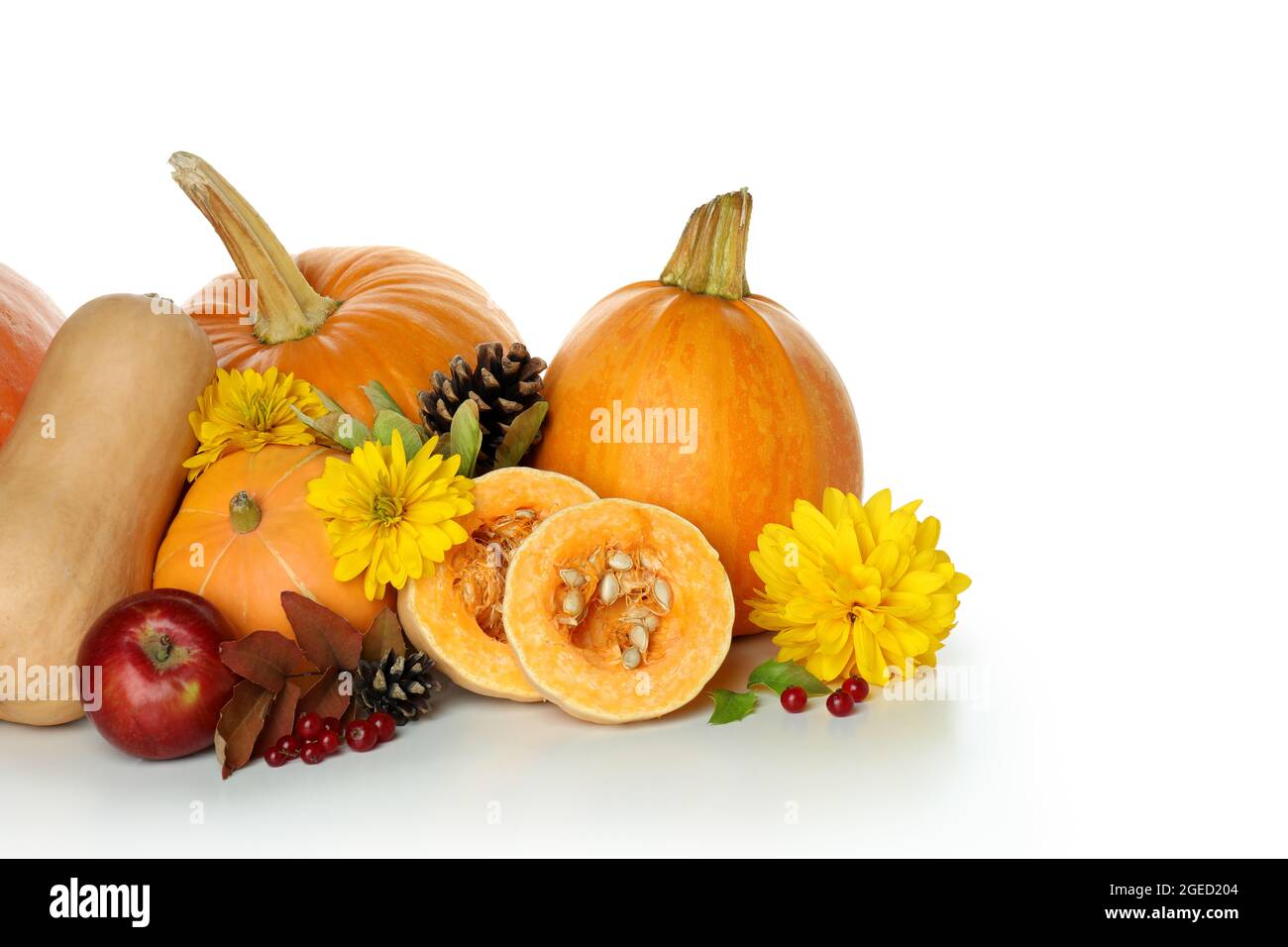 Thanksgiving Day pumpkins isolated on white background Stock Photo - Alamy