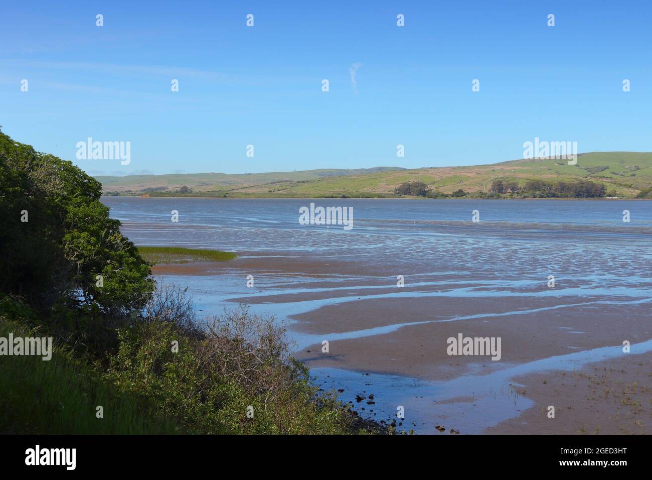 California Tomales Bay Ecological Reserve with salt marsh and tidal
