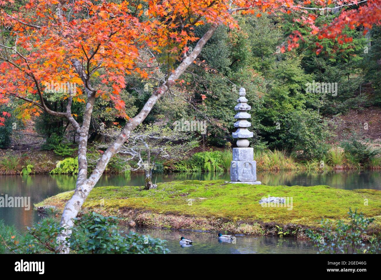 Autumn foliage of Kinkakuji Gardens in Kyoto, Japan. UNESCO World Heritage Site. Stone pagoda on a moss island. Stock Photo