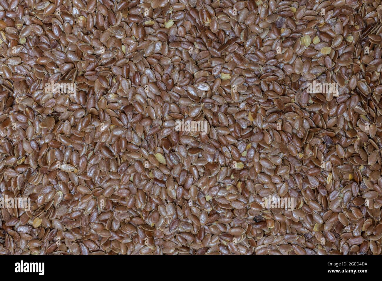 Flax seeds brown close up detail. Stock Photo