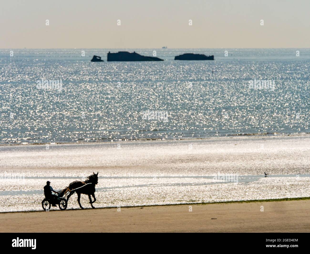 Race horse training, Utah Beach, Manche department, Cotentin, Normandy