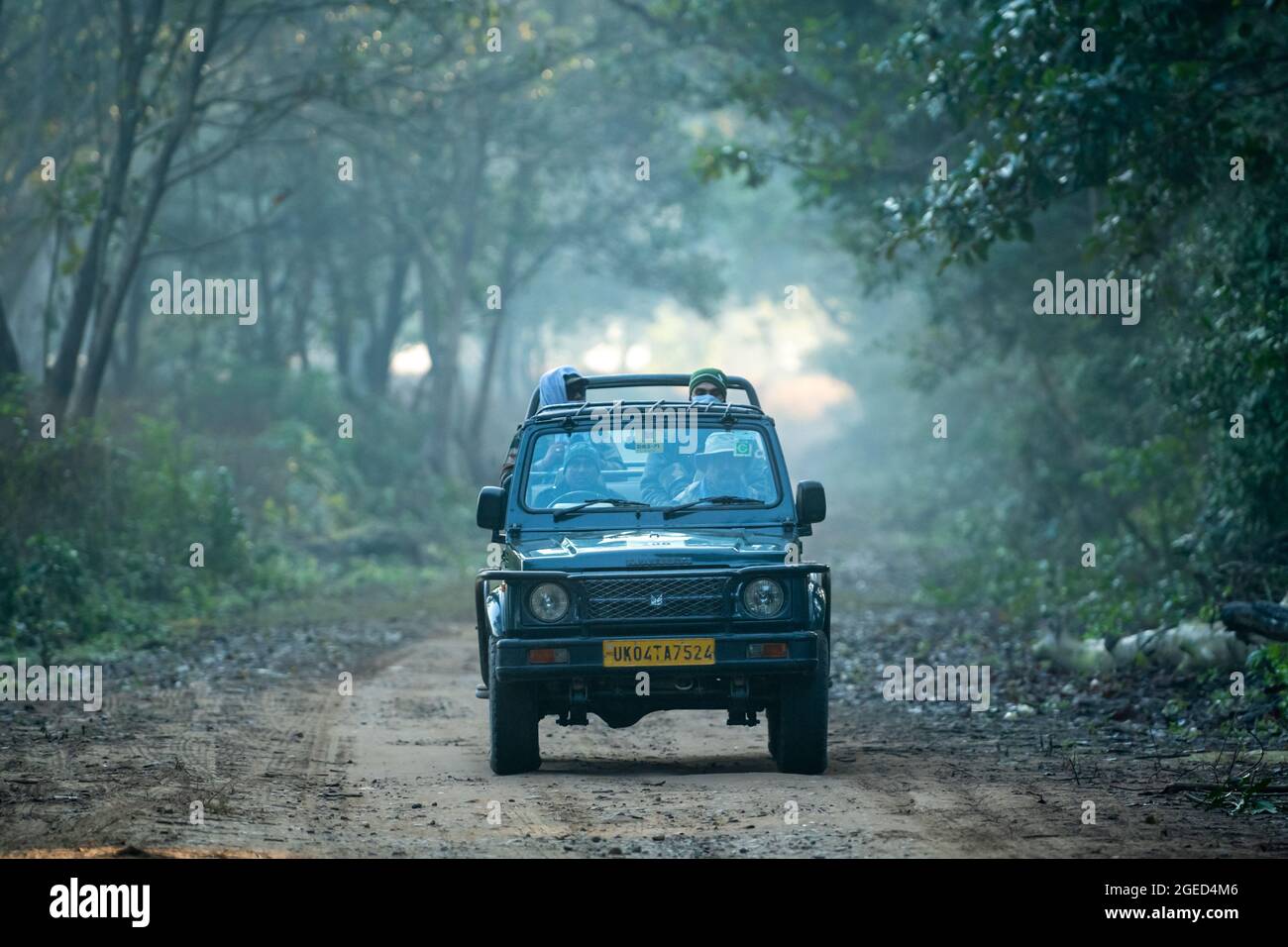 Jim corbett national park, Ramnagar, Uttarakhand, India - December 7, 2020  - wildlife safari or game drive on scenic road by gypsy or jeep on cold win  Stock Photo - Alamy