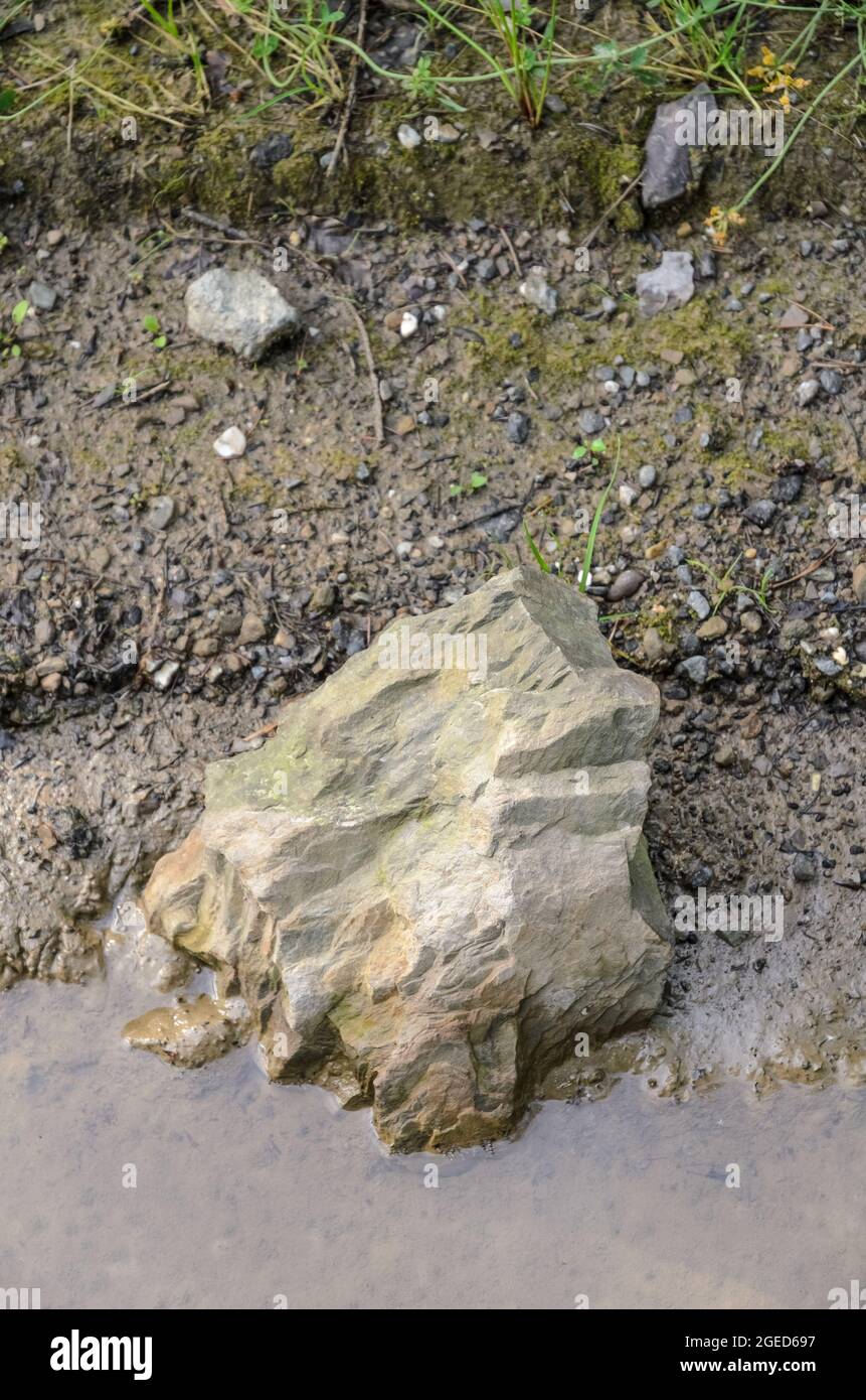 Wet rock in a puddle of water Stock Photo Alamy