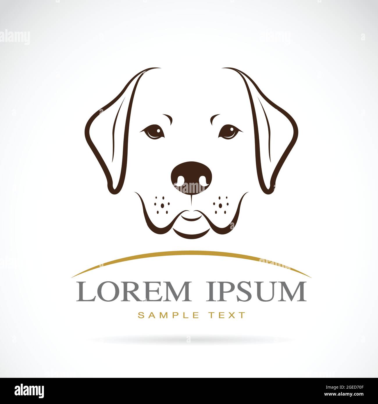 Labrador Simple Vector Image Vector image of a dog labrador on white background.Easy editable ...