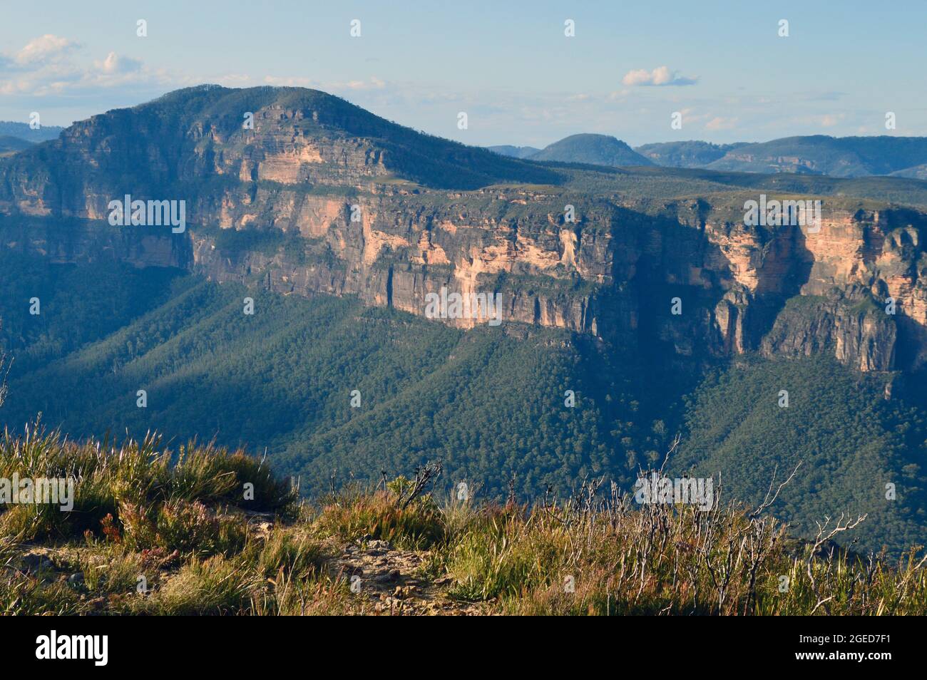 A view into the Grose Valley from Lockleys Pylon Stock Photo