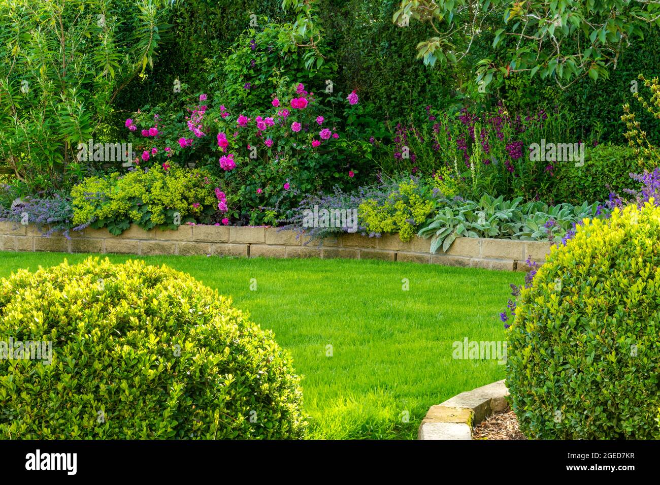 Landscaped sunny private garden (contemporary design, colourful summer flowers, border plants, neat lawn, low stone walls) - Yorkshire, England, UK. Stock Photo