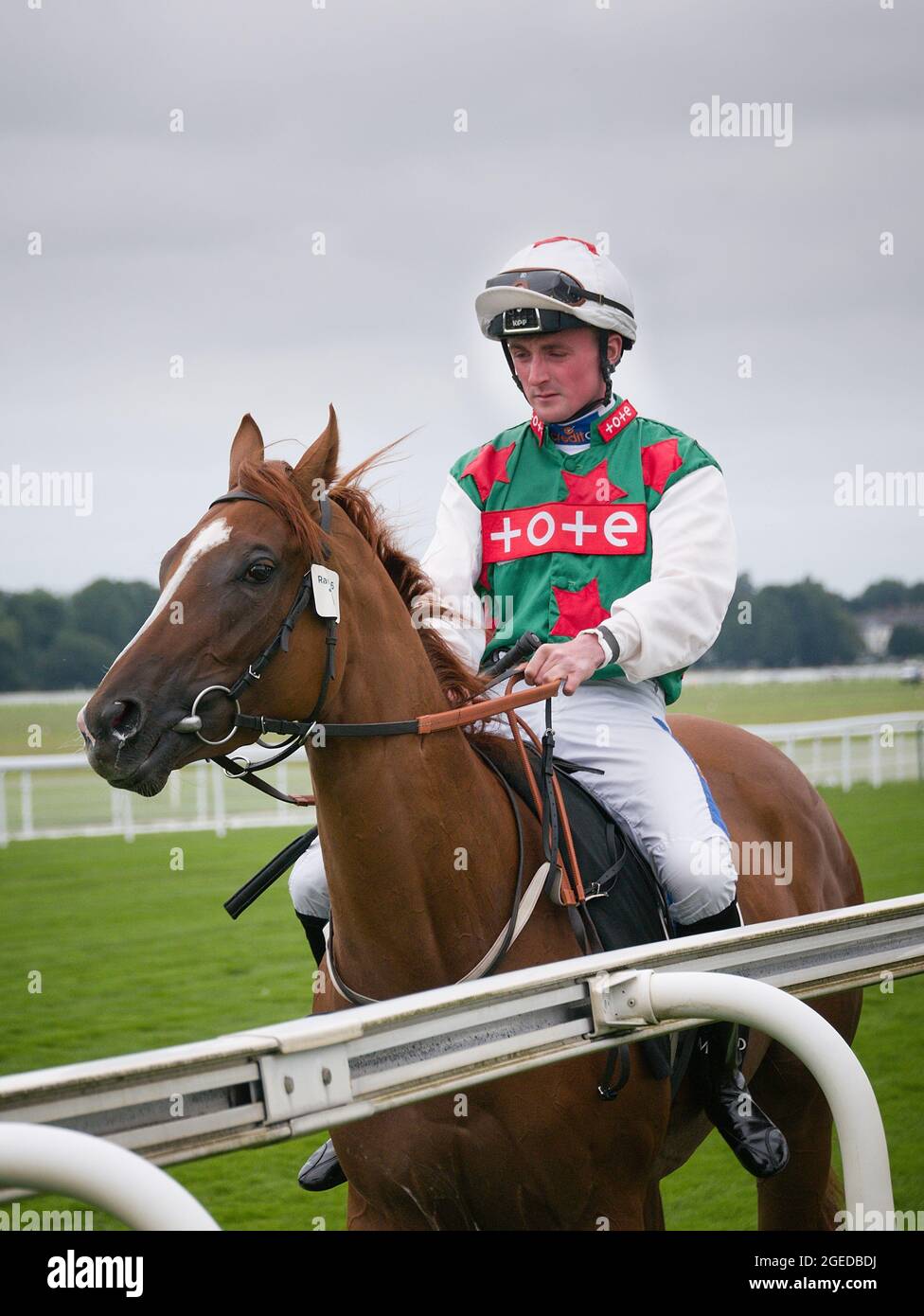 Jockey Harrison Shaw on Tweet Tweet before the start of a race during the Ebor Racing Festival at York Racecourse. Stock Photo