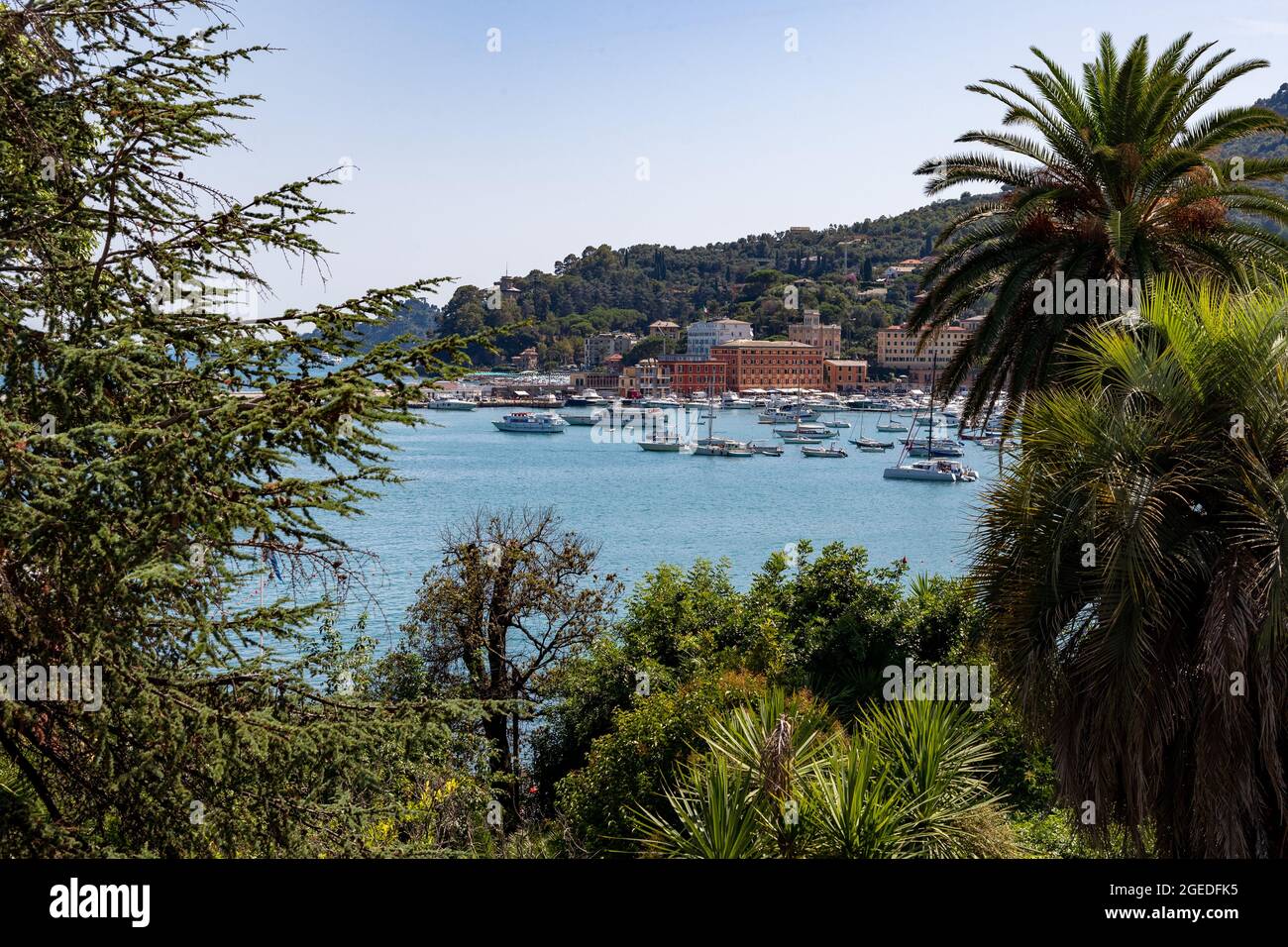 Blick über Palem auf den Hafen und die Häuser drum herum. Touristen strömen  am 19. August 2021 in die wunderschöne Stadt Santa Margherita im Levante  Teil Liguriens. Santa Margherita und Ligurien bestechen