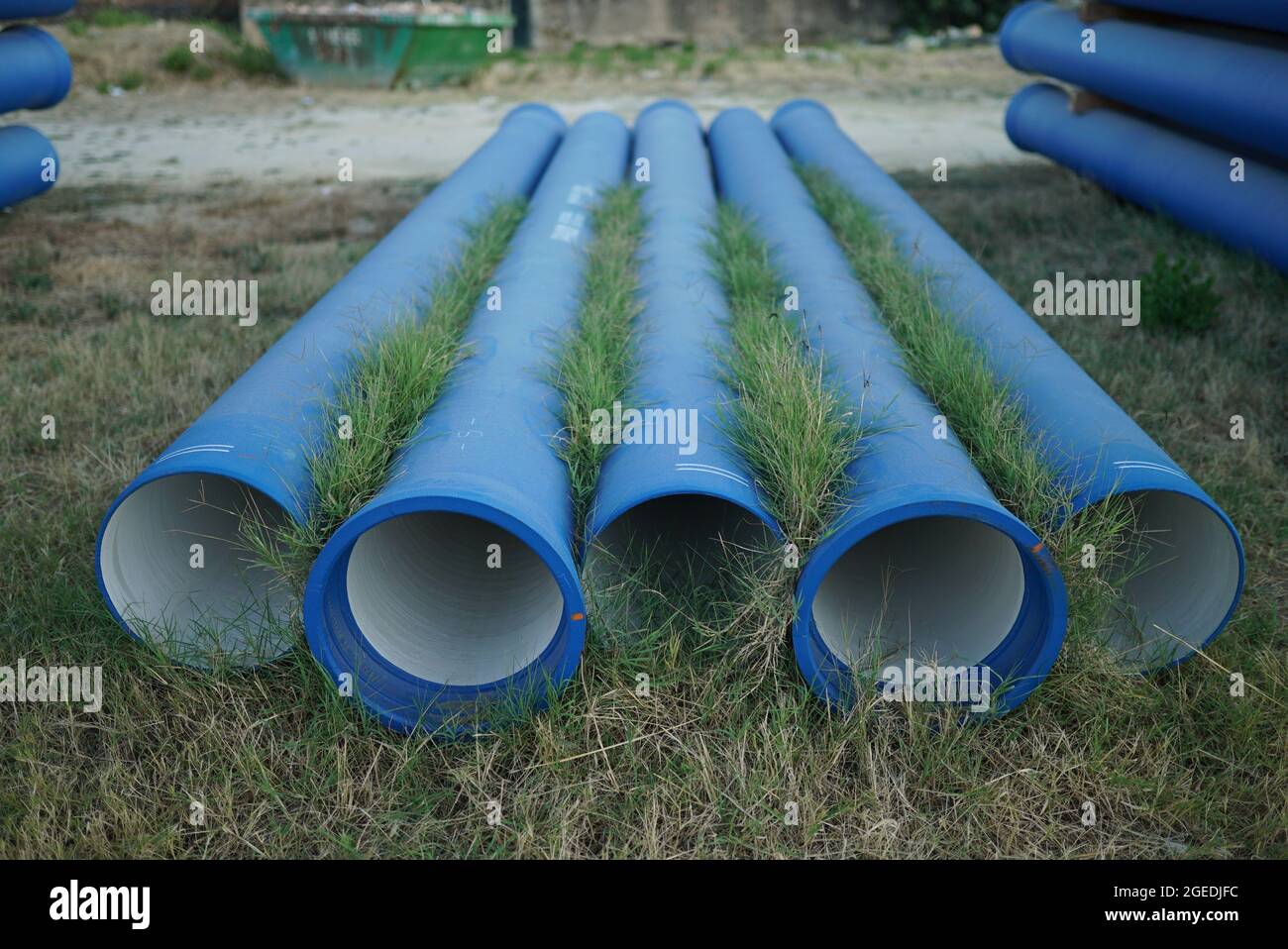 Stack of blue casing pipes on the green grass Stock Photo Alamy