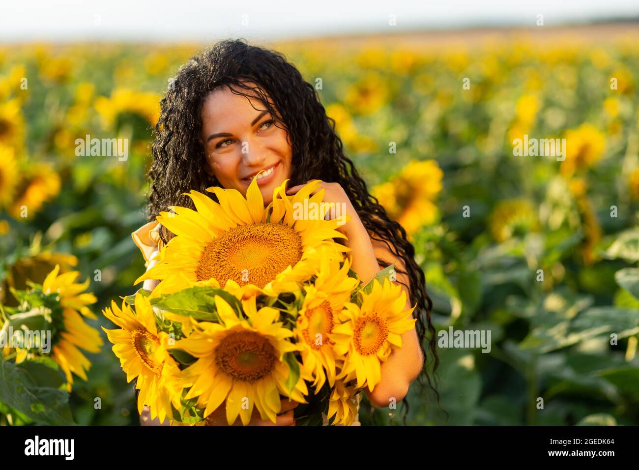 Portrait of a beautiful smiling dark-haired woman with bouquet of sunflowers Stock Photo