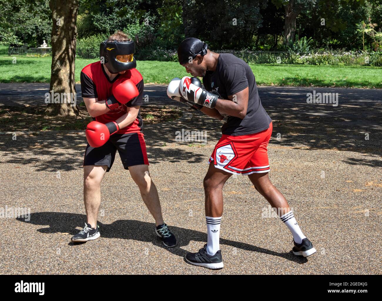 English boxers hi-res stock photography and images - Alamy