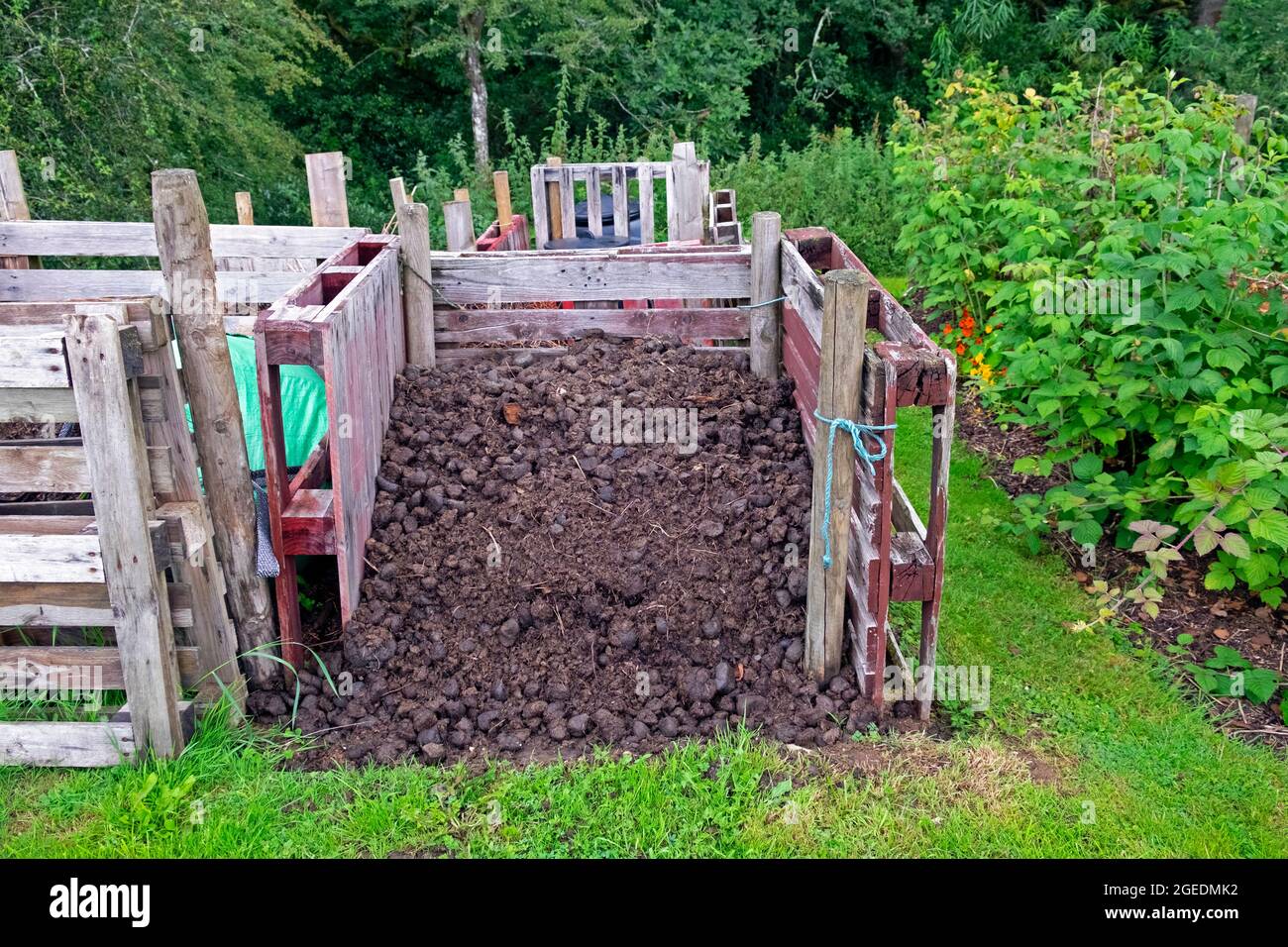 Horse manure pile in compost bin wooden pallets in an organic garden for fertiliser in summer Carmarthenshire Wales UK  KATHY DEWITT Stock Photo