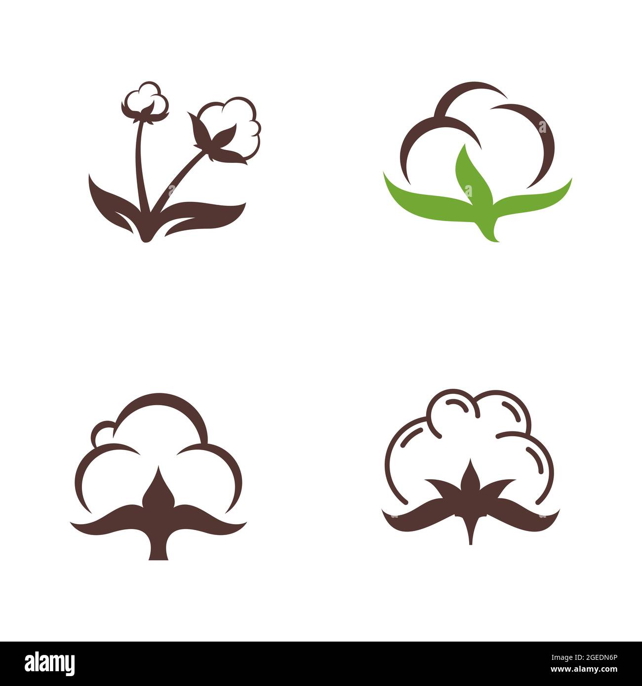 Cotton flower vector icon template symbol nature Stock Photo - Alamy