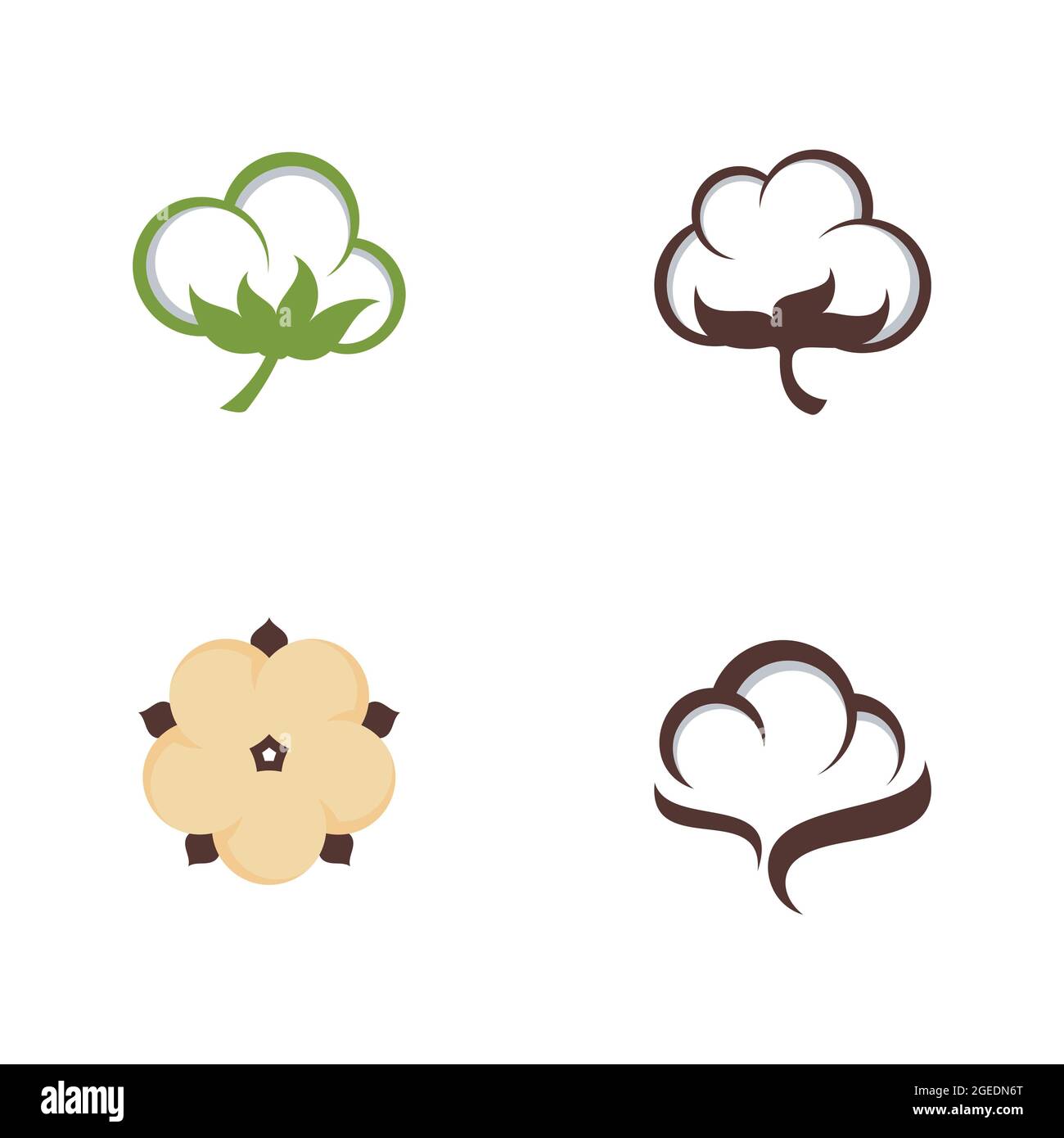 Cotton flower vector icon template symbol nature Stock Photo - Alamy