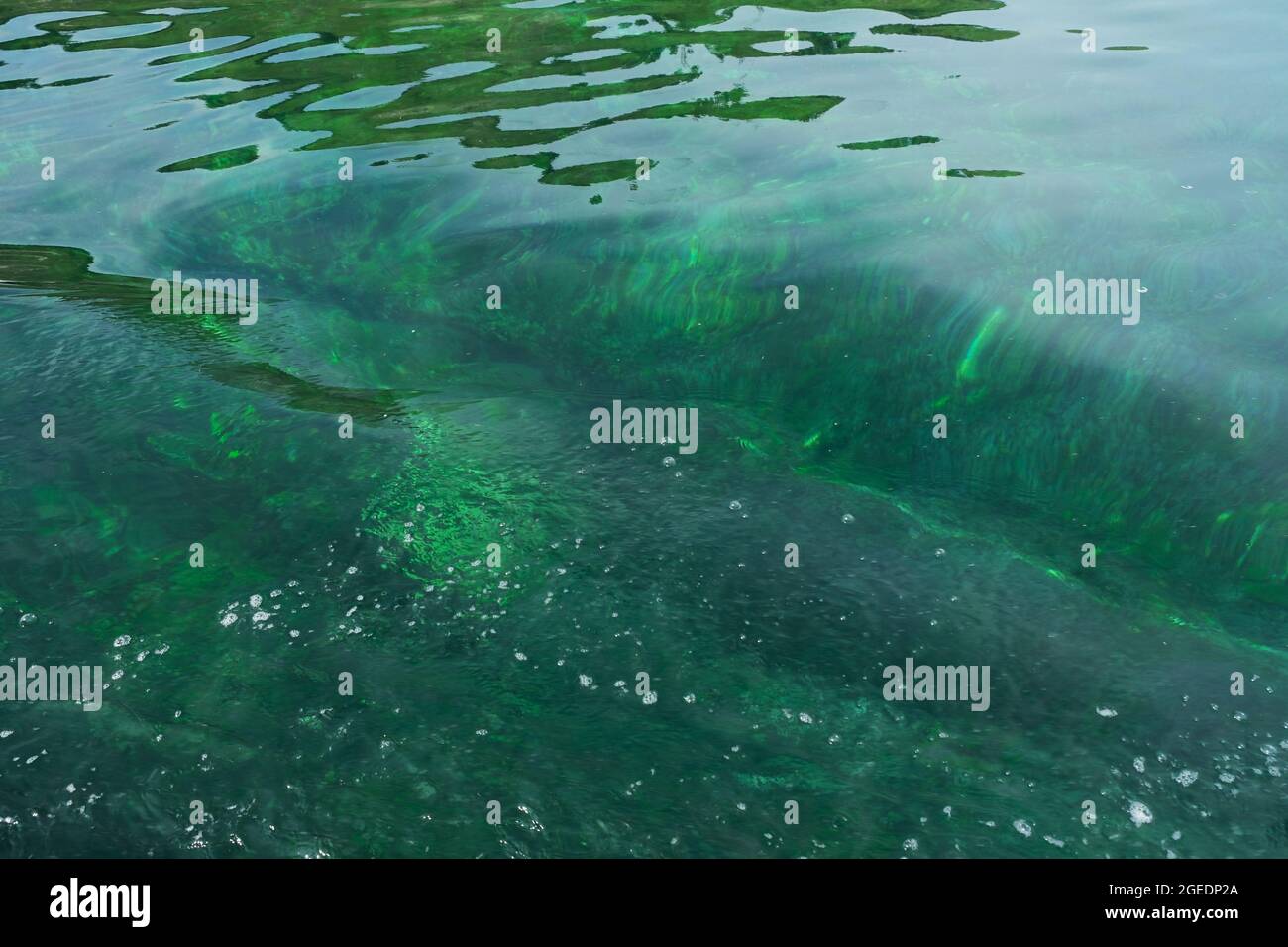Transparent green blue tones water waves surface as background Stock Photo
