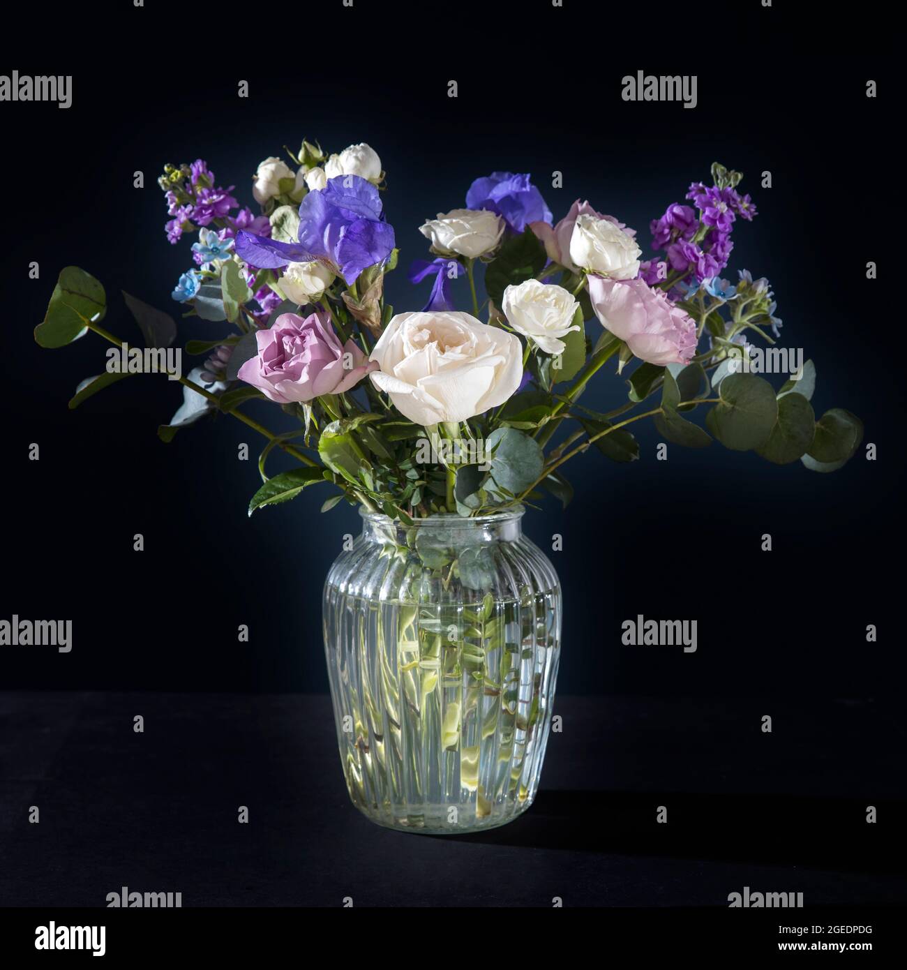 Bouquet of hackelia velutina, purple and white roses, small tea roses, matthiola incana and blue iris in glass vase . Dark blue wall Stock Photo