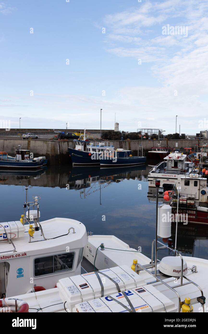 North sunderland harbour hires stock photography and images Alamy