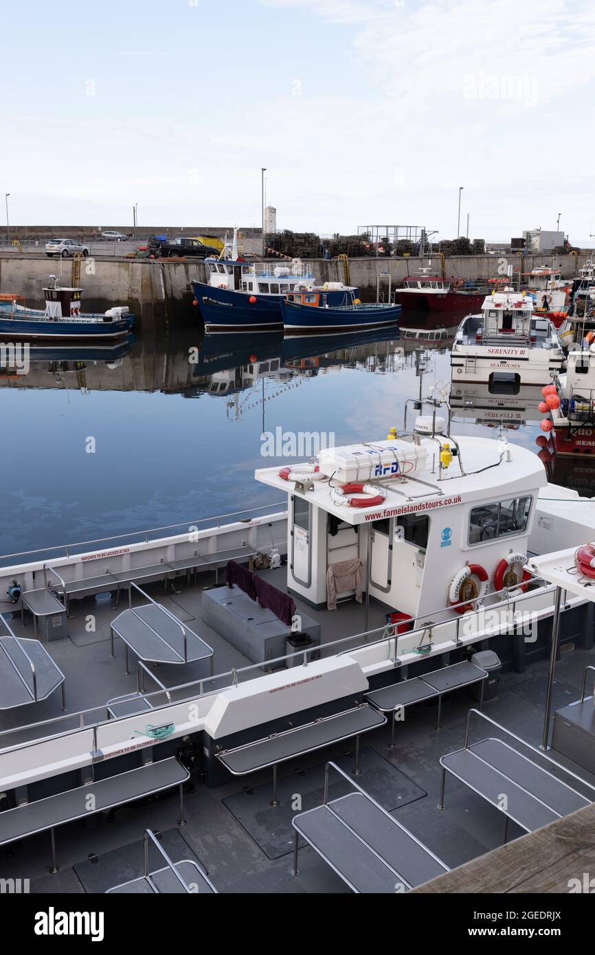 Seahouses Harbour; North Sunderland Harbour; Northumberland; England