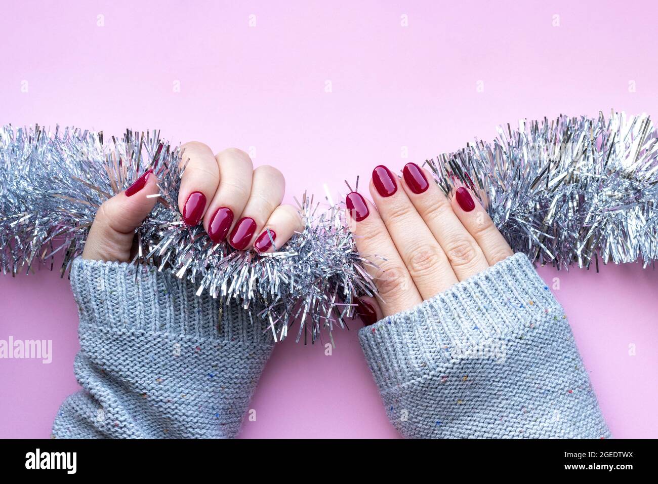 Female hand in a gray knitted sweater with a beautiful glossy manicure -  burgundy, dark red, cherry color nails on background of pale pink Christmas  t Stock Photo - Alamy