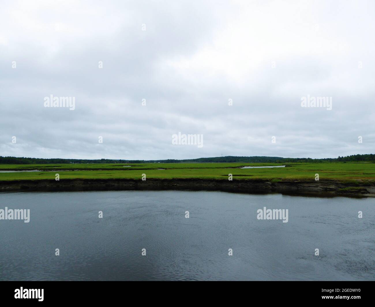 View of lawn with ponds on a cloudy day. Scenery of natural green field, turf Stock Photo