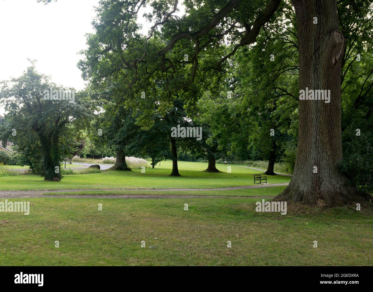 Parklands in uk hi-res stock photography and images - Alamy