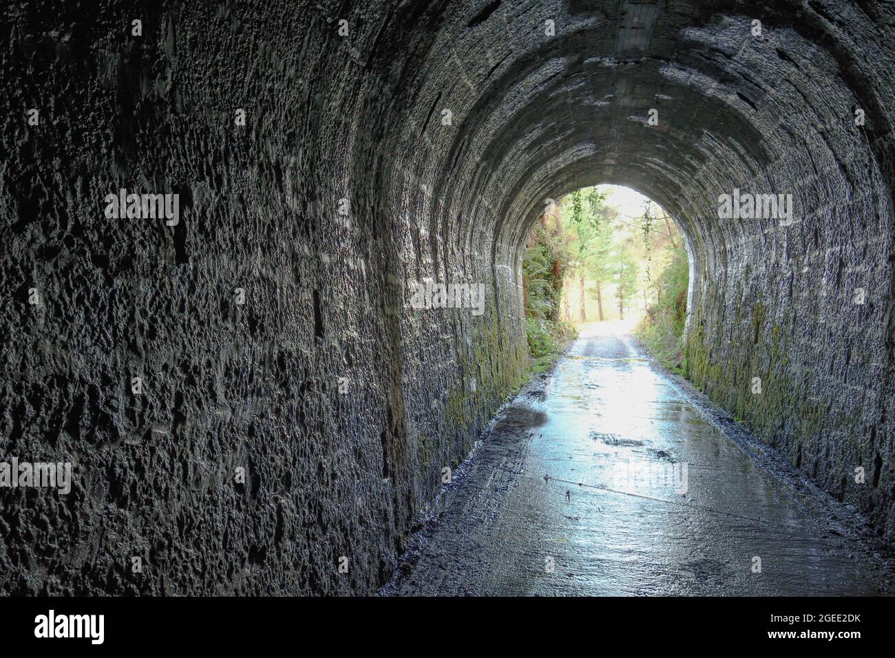 Old mining tunnel of Mount Alén in Sopuerta Bizkaia Stock Photo
