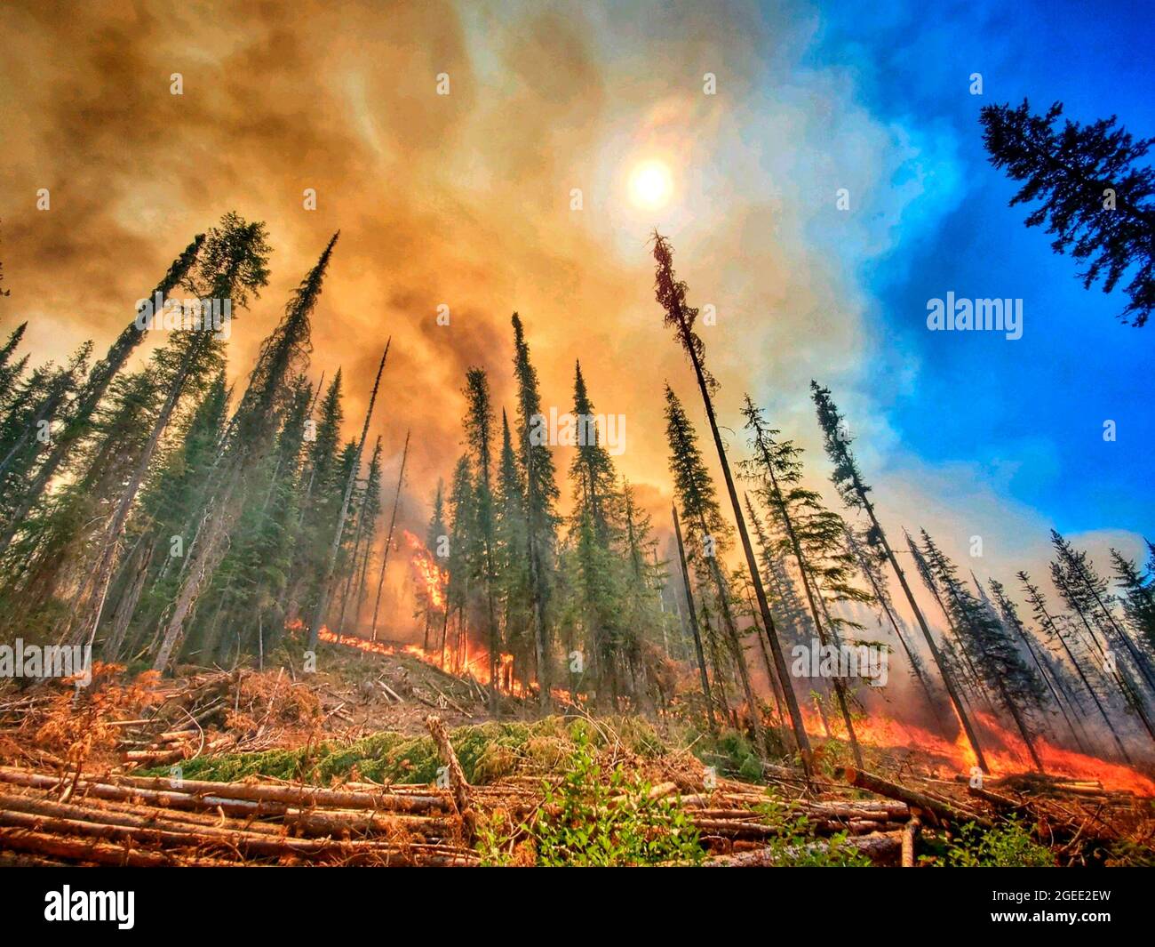 A wildfire burns through forests at the Summit Trail Fire in the